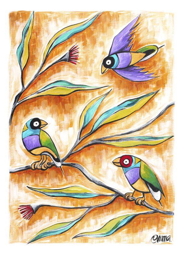 Gouldian finch - original